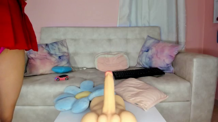 Tiny_Cora
