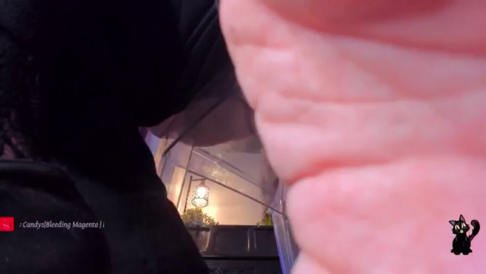 LunaWolfie