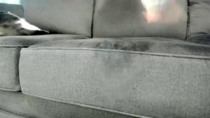 KinkyKortney