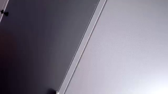 Vixenp