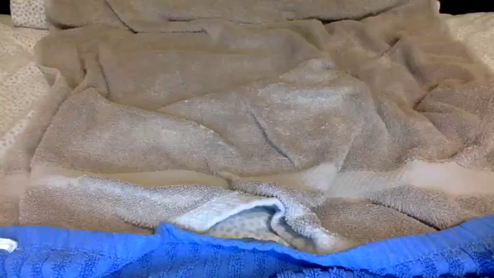 Scarlettxbabe