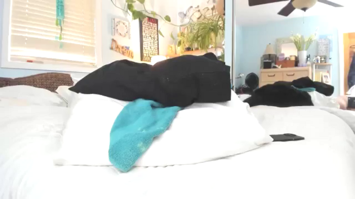 thewolfof_MFC
