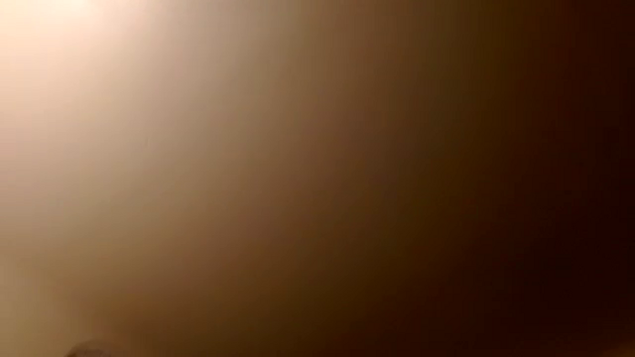 EgyptBeauty