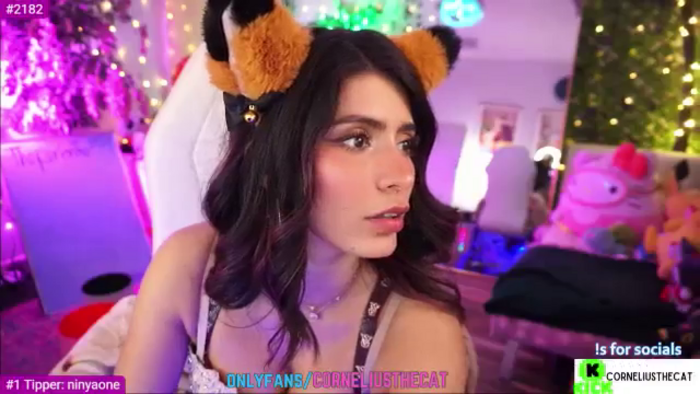 TheCatCo