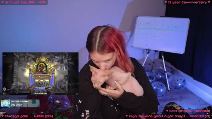 MollyMeowz