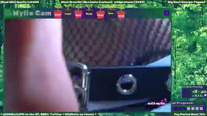 WildWyliePM