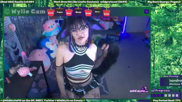 WildWyliePM
