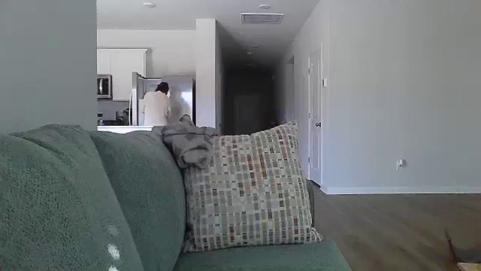 DaniBrasshole