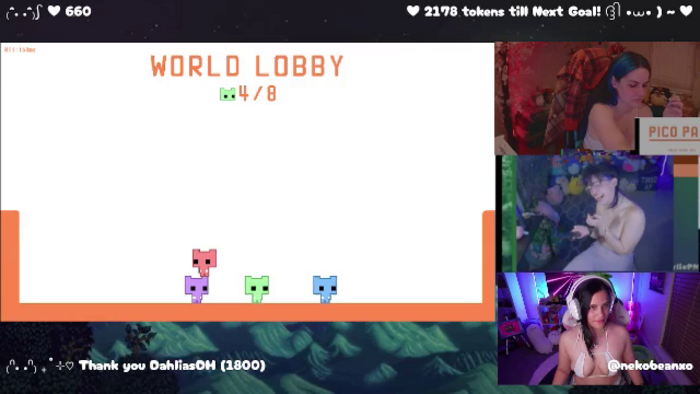 Nekobeanxo