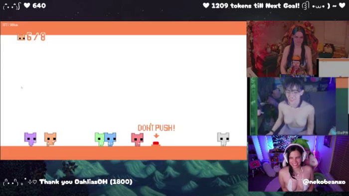 Nekobeanxo