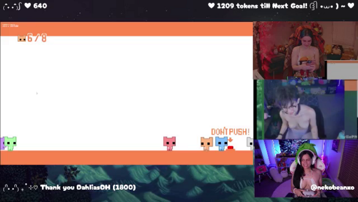 Nekobeanxo