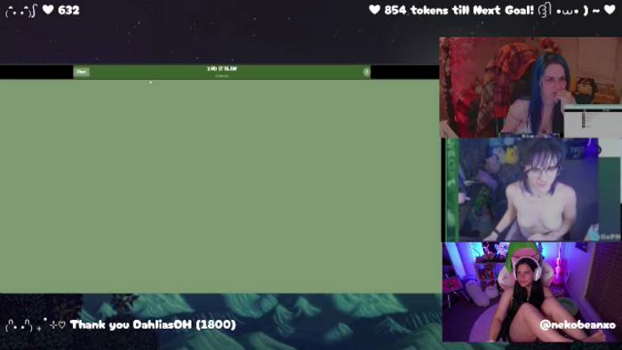 Nekobeanxo