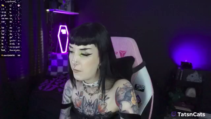 TatsnCats