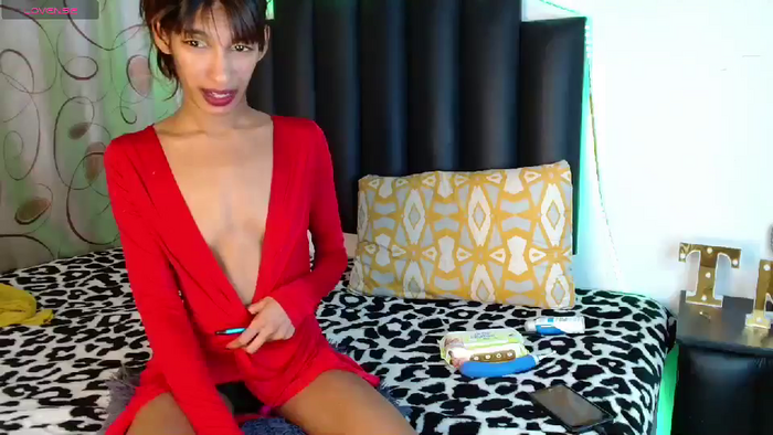 Silky_indian
