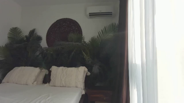 ImagineRoses