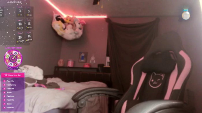 PetitePet
