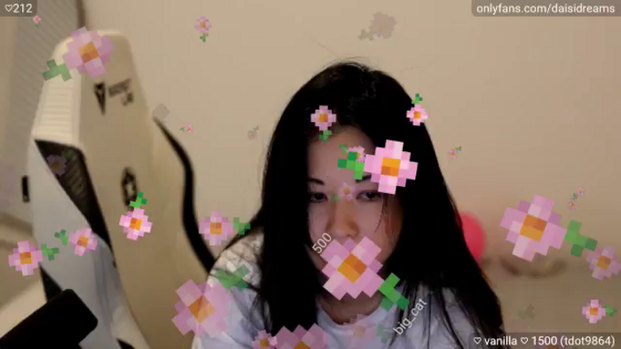 daisipi3