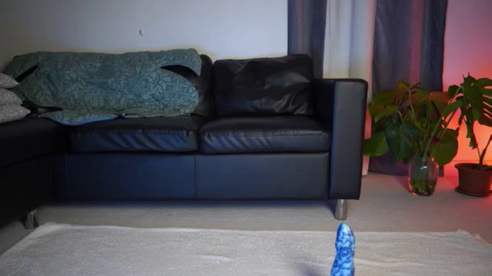 hey_foxy