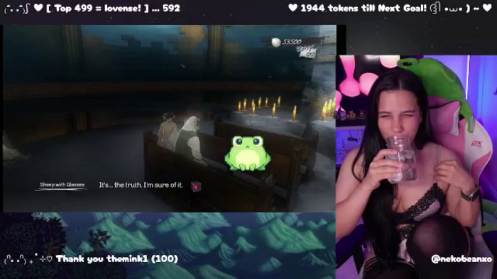 Nekobeanxo