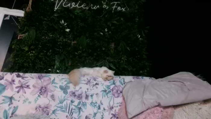 Vivienne__Fox