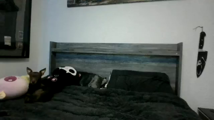 hxzel