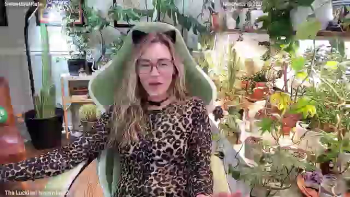 SweetbratKate