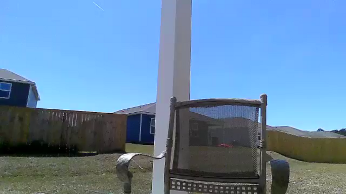 DaniBrasshole