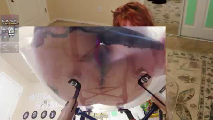 Shellybeans