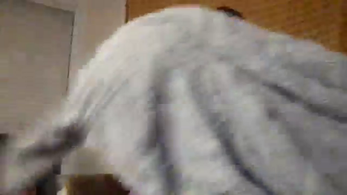 zoeykitty