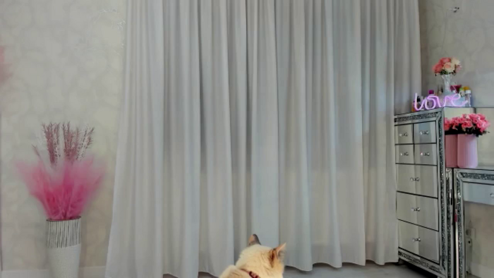 MissButterfly