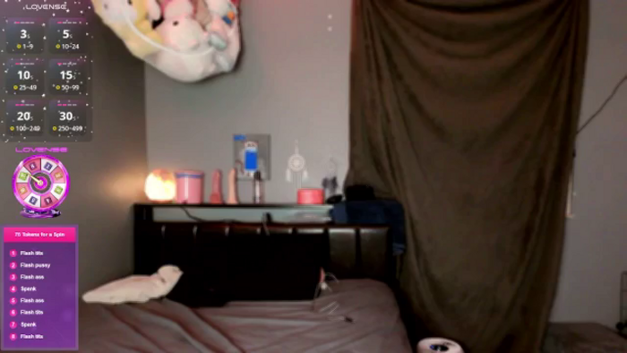 PetitePet