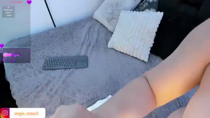 Angie_Roses