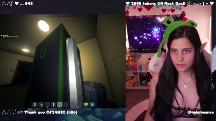 Nekobeanxo