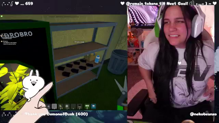 Nekobeanxo