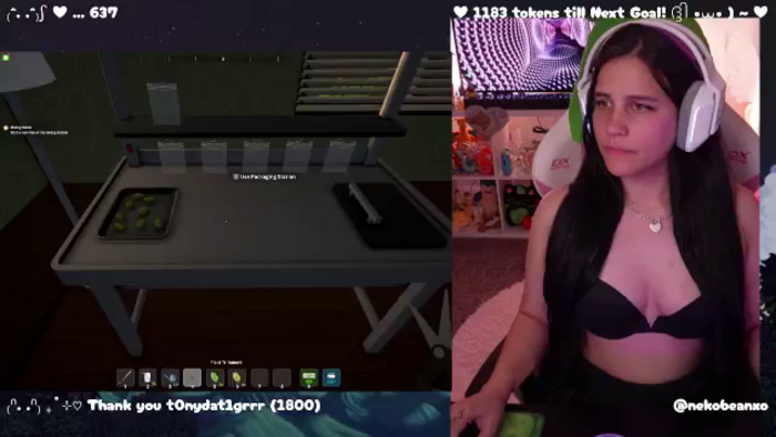 Nekobeanxo