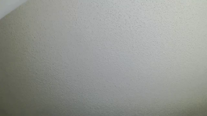 Bella_Springs