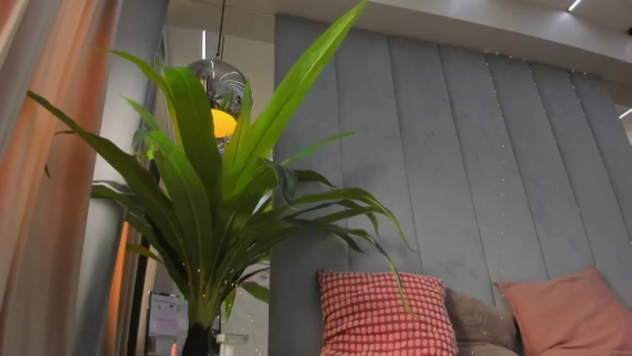 NayraDream