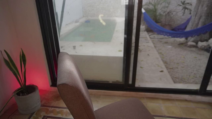 pincheDiosa