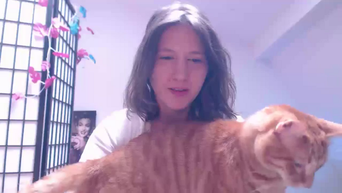 IntruderRorry