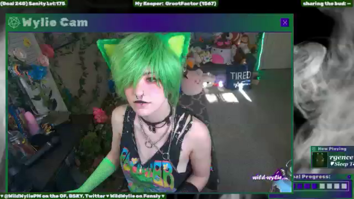 WildWyliePM