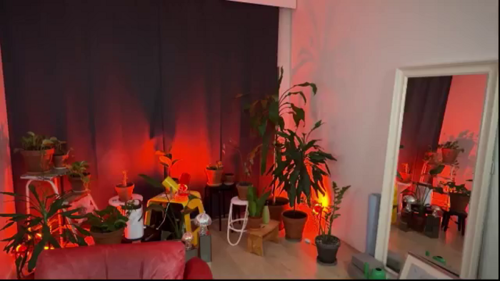 Kinky_orange