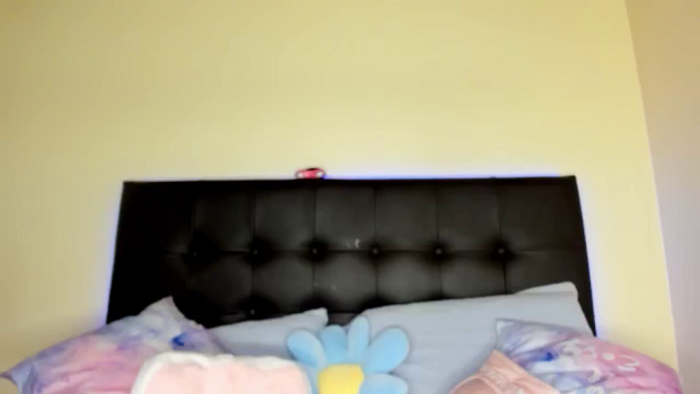 Tiny_Cora
