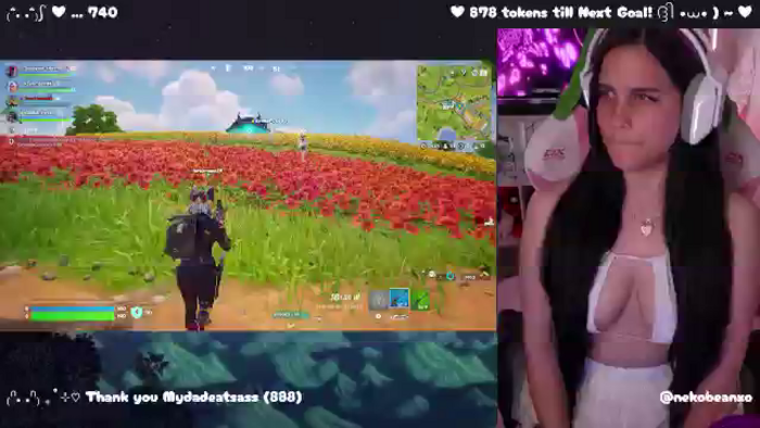 Nekobeanxo