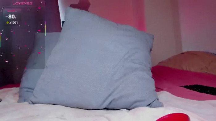 Samispank