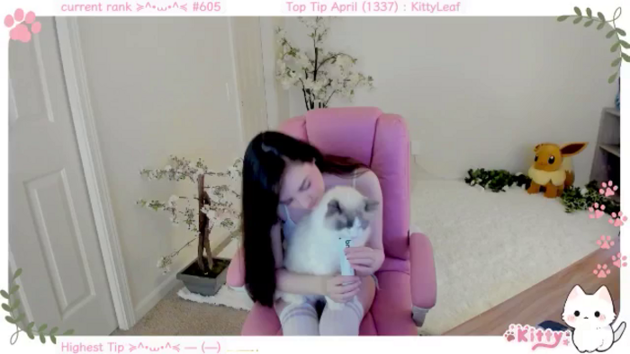 Kitty