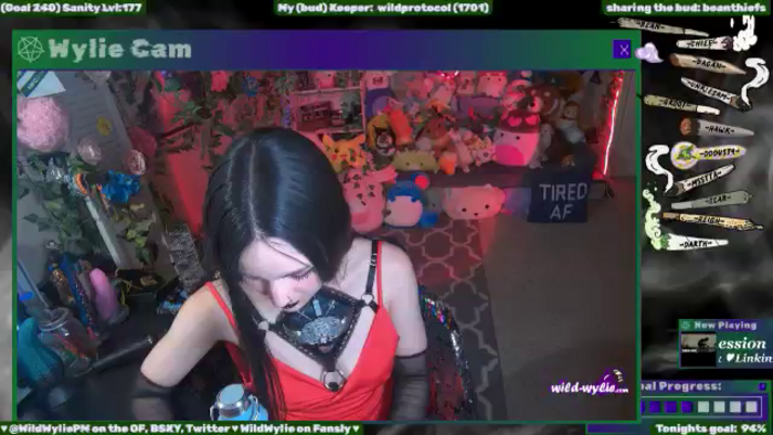 WildWyliePM