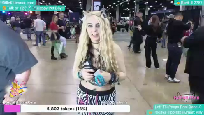 KalieKitten