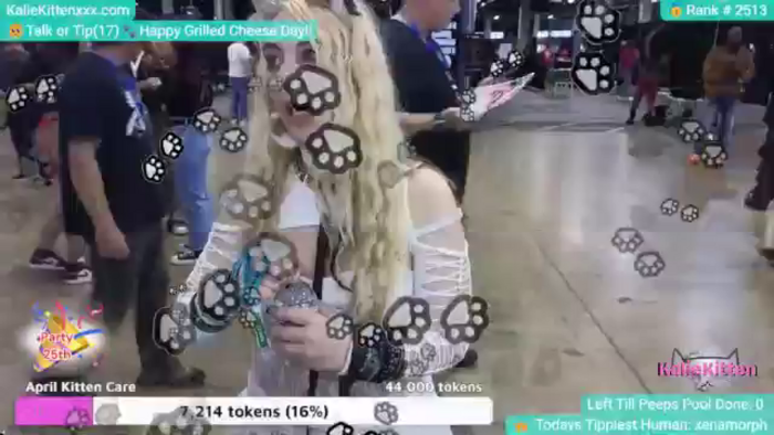 KalieKitten