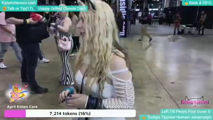KalieKitten