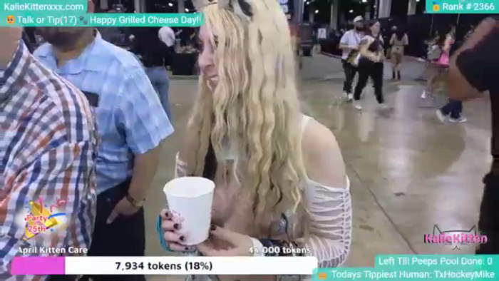 KalieKitten